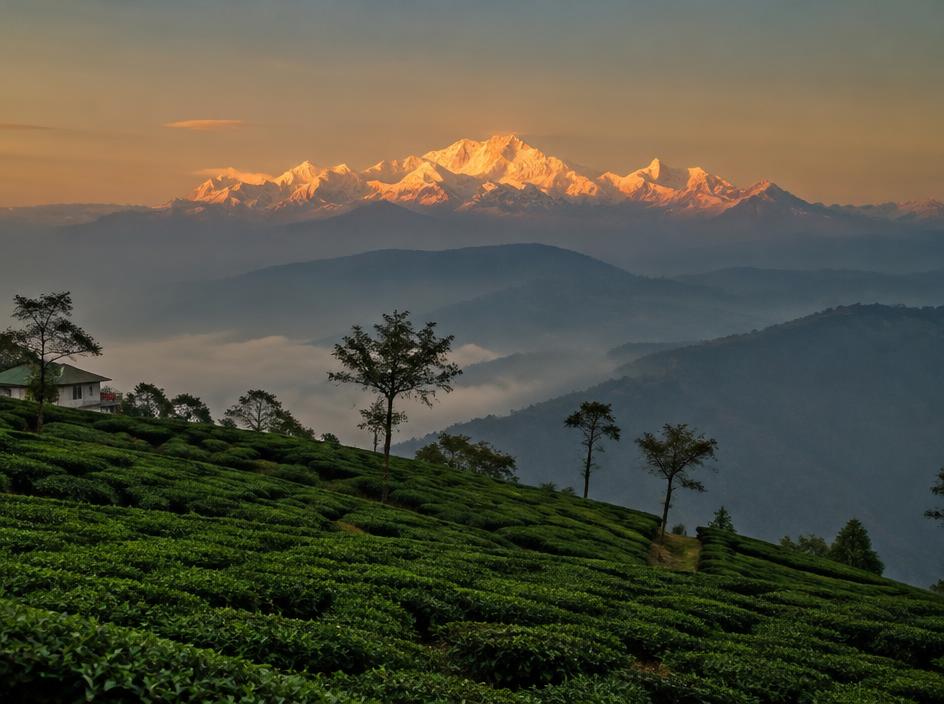 Sikkim & Darjeeling
